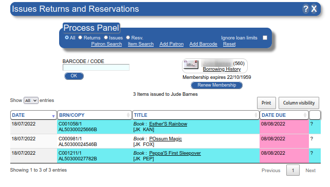 Patron display with overdue transactions